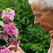 Beschäftigung bei geriatrischen Erkrankungen