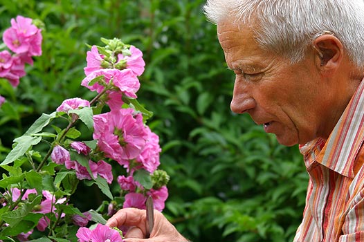 Ergotherapie in der Geriatrie