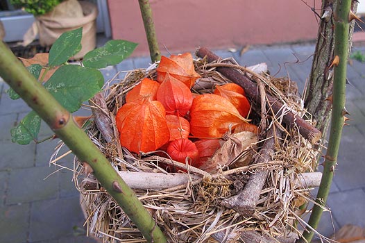 Ergotherapeuten-Team der Praxis in Frankfurt, Holzhausenstraße 75